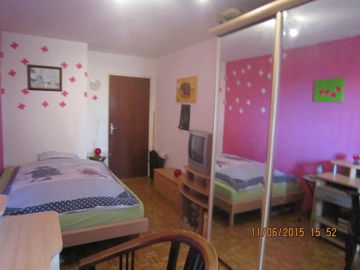 Schoenes Zimmer In Der City Basel Dış mekan fotoğraf
